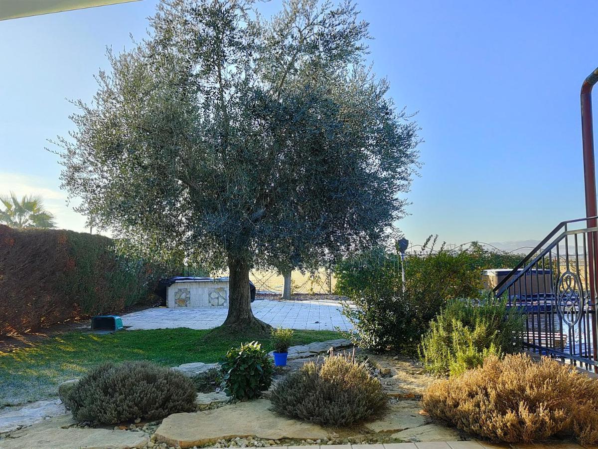 B&B Villa Letizia San Vito  Exteriör bild