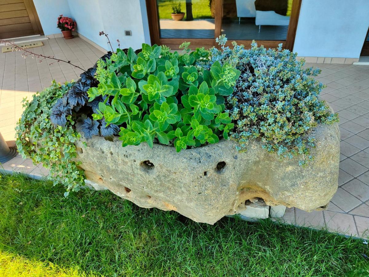 B&B Villa Letizia San Vito  Exteriör bild